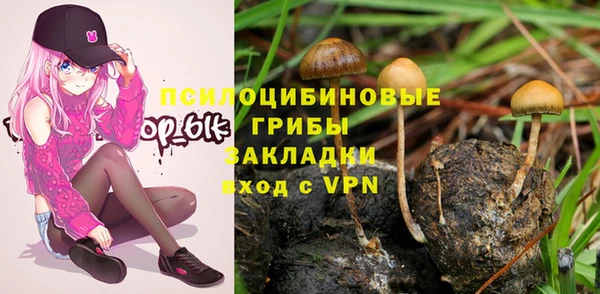 mdma Медвежьегорск