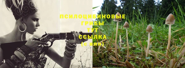 jwh Медногорск