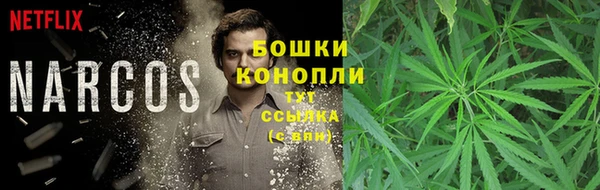 jwh Медногорск